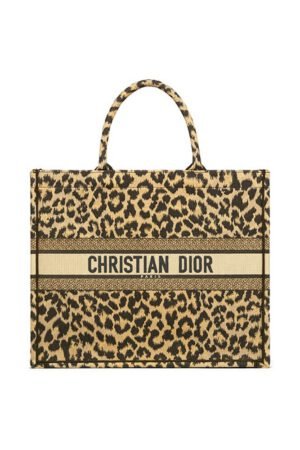 SMALL DIOR BOOK TOTE